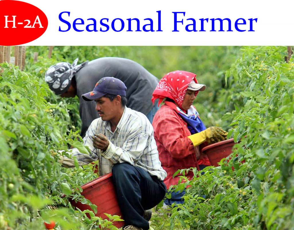 Seasonal Farmer Visa